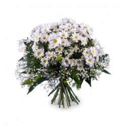 Bouquet of white daisies