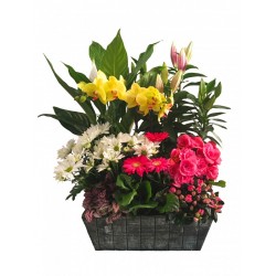 Flower or plant arrangement (personized quotation)