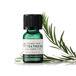 Aceite árbol de té 10ml